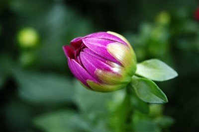 ����ũ��� ����